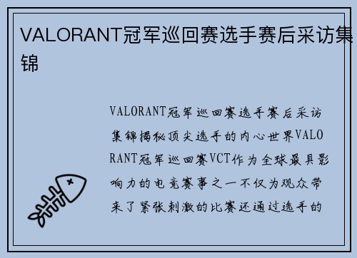 VALORANT冠军巡回赛选手赛后采访集锦